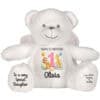 Personalised Jungle Birthday Angel Teddy Bear