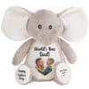 Custom teddy bear with photo and messages for Father's Day.