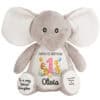 Personalised Jungle Birthday Elephant Teddy Bear