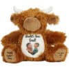 Cute teddy bear with personalised message and photo for Father's Day.
