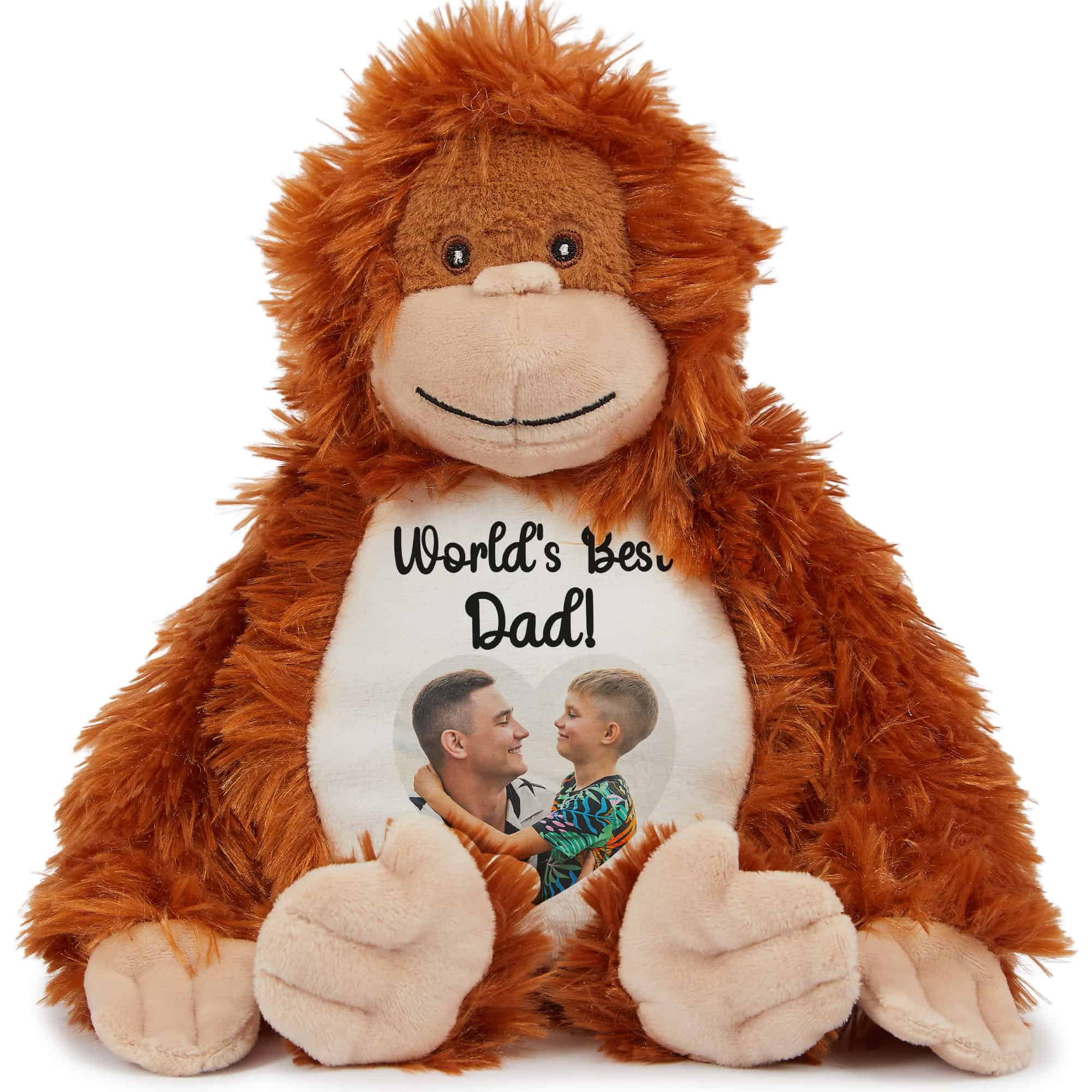 Soft plush teddy bear with a photo and message for Dad.